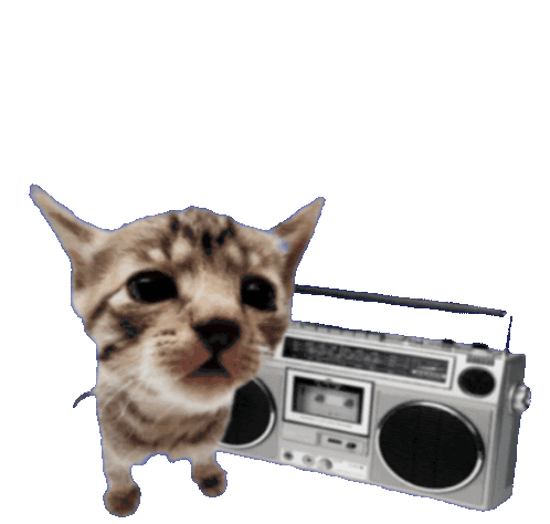 Gatinho